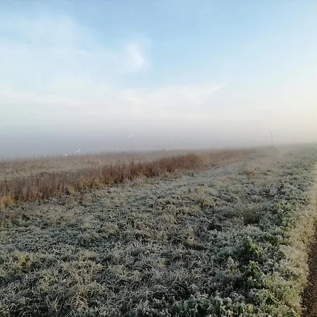 7 Person In Lokken-by Traum *