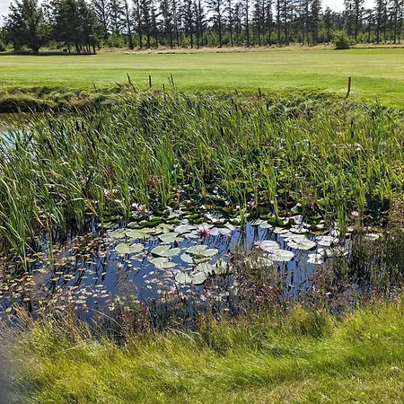 4 Star In Vakantiehuis Løkken